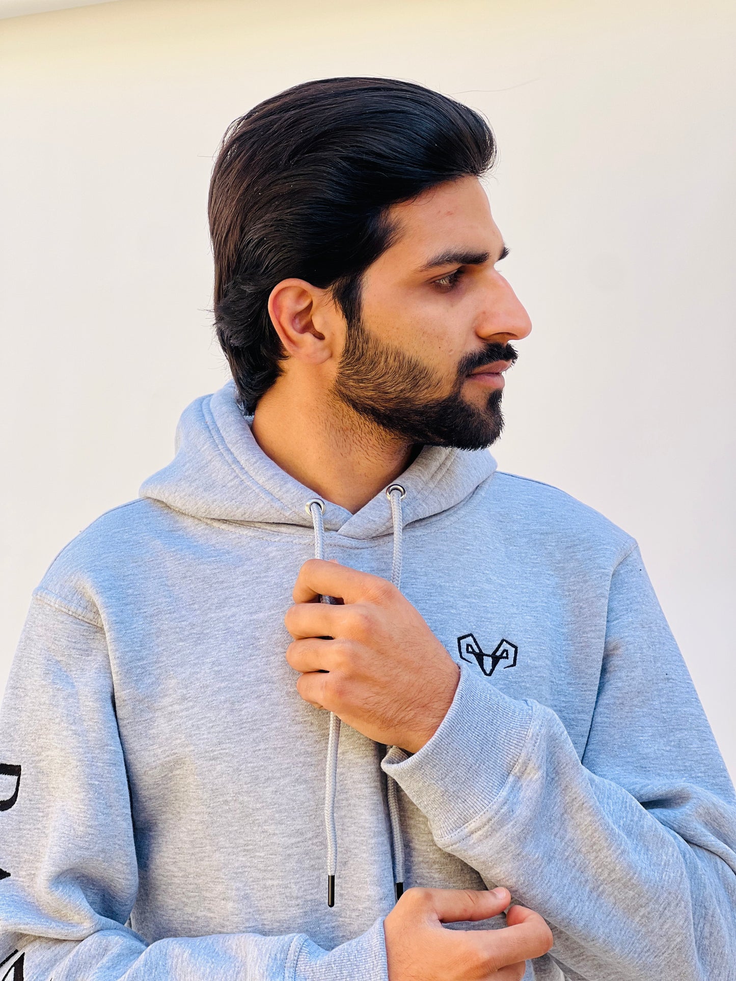 Classic Light Gray Hoodie By Bannuci