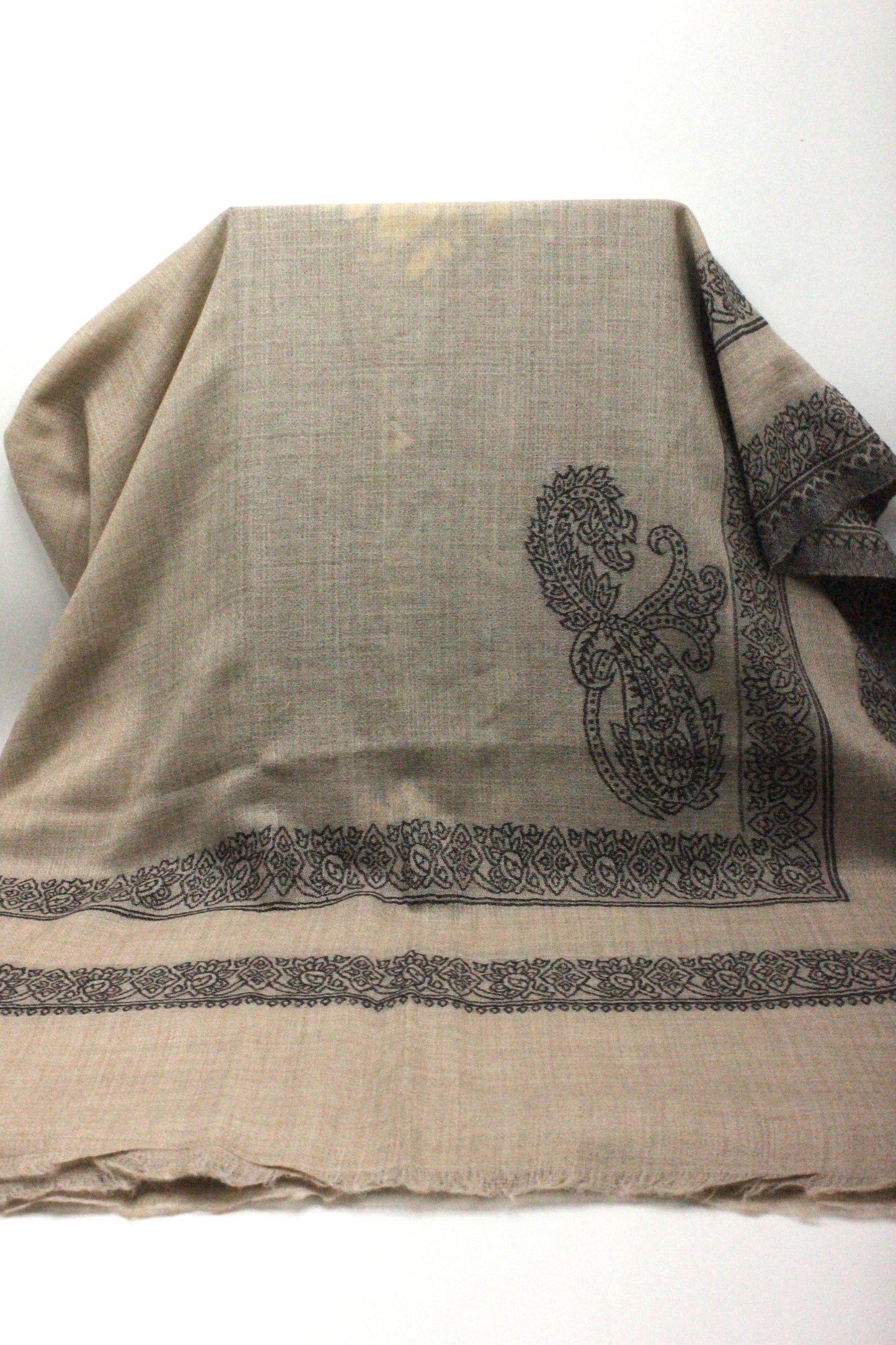 Premium Quality Extremely Soft Light Brown With Black Border Pashmina Cashmere Shawl